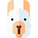 alpaca