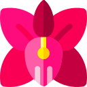 orquídea icon