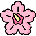 hibisco icon