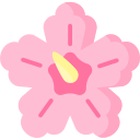 hibisco icon