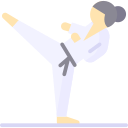 taekwondo icon