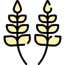 trigo icon