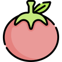 tomate icon