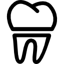 contorno del diente 