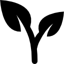 folhas de uma planta icon