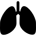 poumons silhouette Icône