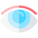 ojo icon