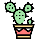 cactus icon