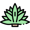 agave icon