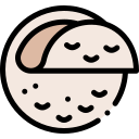 tortilla icon