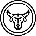 tauro icon