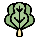 lechuga icon