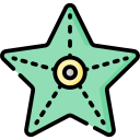 estrella de mar 