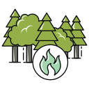 incendio forestal icon