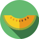 melón icon