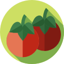 tomate icon