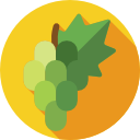 uvas icon