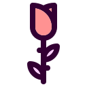 rosa icon