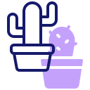 cactus icon