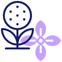 hortensia icon