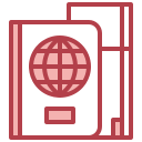 pasaporte icon