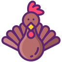 pavo icon