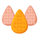 coxinha icon