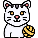 gato icon