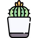 cactus icon