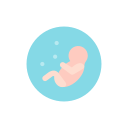 Embryo