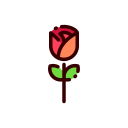 rosa icon