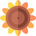 girasol icon