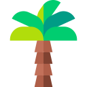 palmera icon