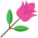 rosa icon