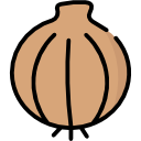 cebola 