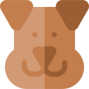chien