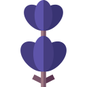 lavanda icon