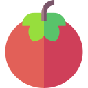 tomate icon