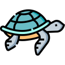 tortuga marina icon