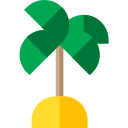 Palm tree 