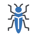 cucaracha icon