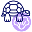 tortuga icon