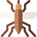 mosquito icon