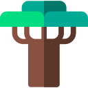 baobab icon