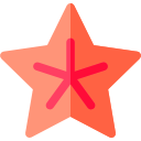 estrella de mar icon