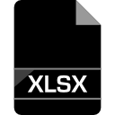 xlsx icon