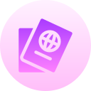 pasaporte icon