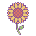 girasol icon