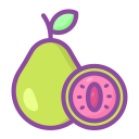 guayaba icon