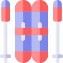 ski icon